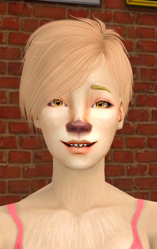Wolf Golden